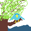 bird