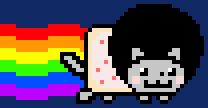 Disco Cat