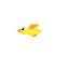bullet