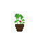 Sprite #141062
