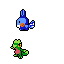 Hoenn Starters