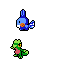 Hoenn Starters