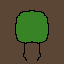 arbol