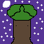 arbol en noche buena