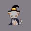 Witch Kitten