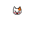 Kitty