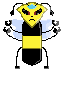 queen lotnaidí