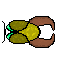 Little scarab :)