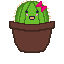 Cute Cactus