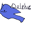 DOLPHIN LOOOOOOOOOOOOOOOOOVE