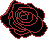 BlackRosey