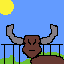 bull