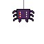 Arachnae