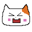 Awww a cat