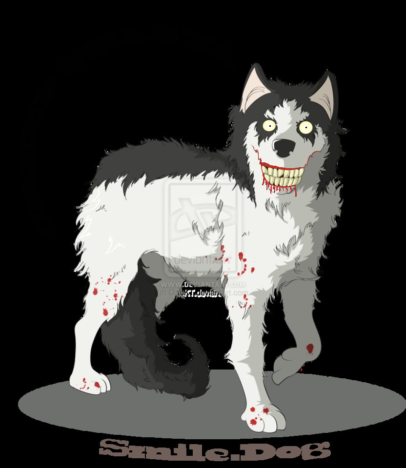 smile dog