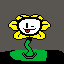 Howdy! I'm Flowey! Flowey the Flower.