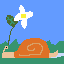 Snail