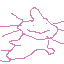 axolatly