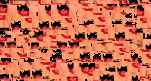 poop