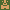 Death Skin