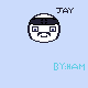 Jay the ninja