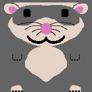 ferret3