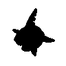 Sharpedo Outline???