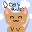 dogs rule cats drule