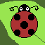 Ladybug on a leaf