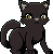 Black Cat