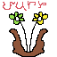caxik