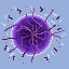 Sprite #149754