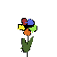 caxik4