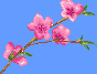 Bloem
