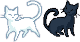 Black And White Cats