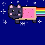 nyan cat!!!!!!!!!!!!!!!!!!
