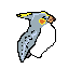 cockatiel