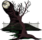Moonlit Bare Tree