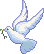 Dove w/ Branch