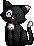 Black and White Cat