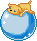 Dog On Ball