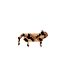 tortise-cat-stand