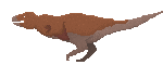T rex