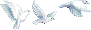 Doves
