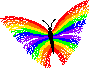 Rainbow Butterfly