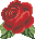 Small Rose