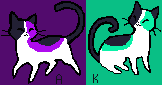 Cat sisters