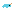 narwhal