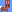 bouncy bunny