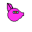 piggy